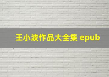 王小波作品大全集 epub